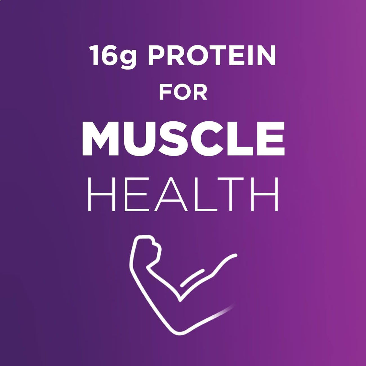 High Protein Milk Chocolate Nutrition Shake 16g Protein 24 Pack Z942