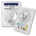 1 oz American Silver Eagle Coin B7846