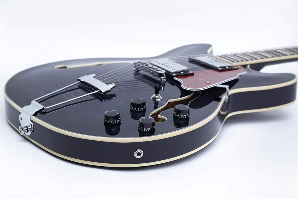 Semi Hollow Electric Guitar with Case Z320403