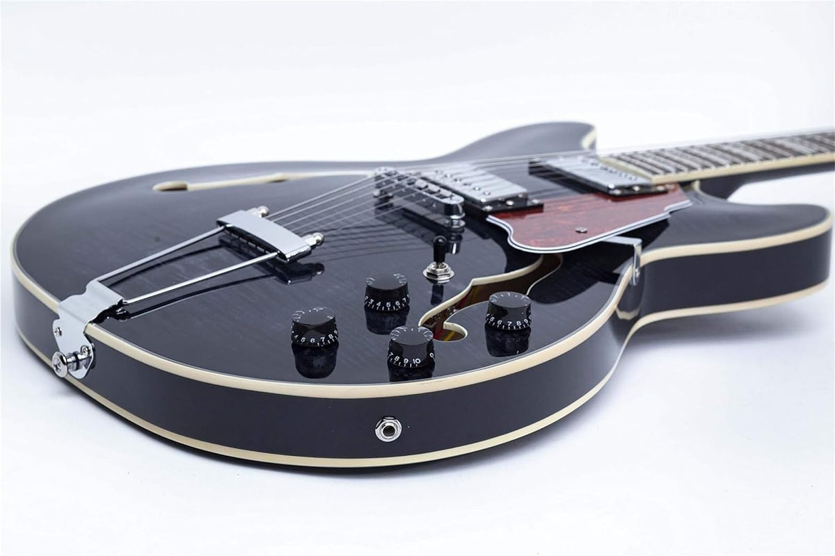 Semi Hollow Electric Guitar with Case Z320403