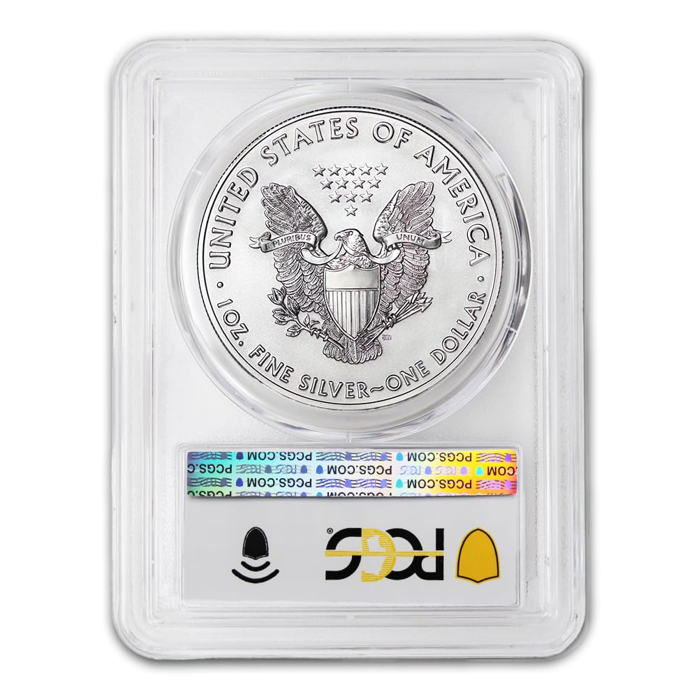 1 oz American Silver Eagle Coin B7846