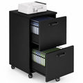 2 Drawer Black Wood File Cabinet N170054