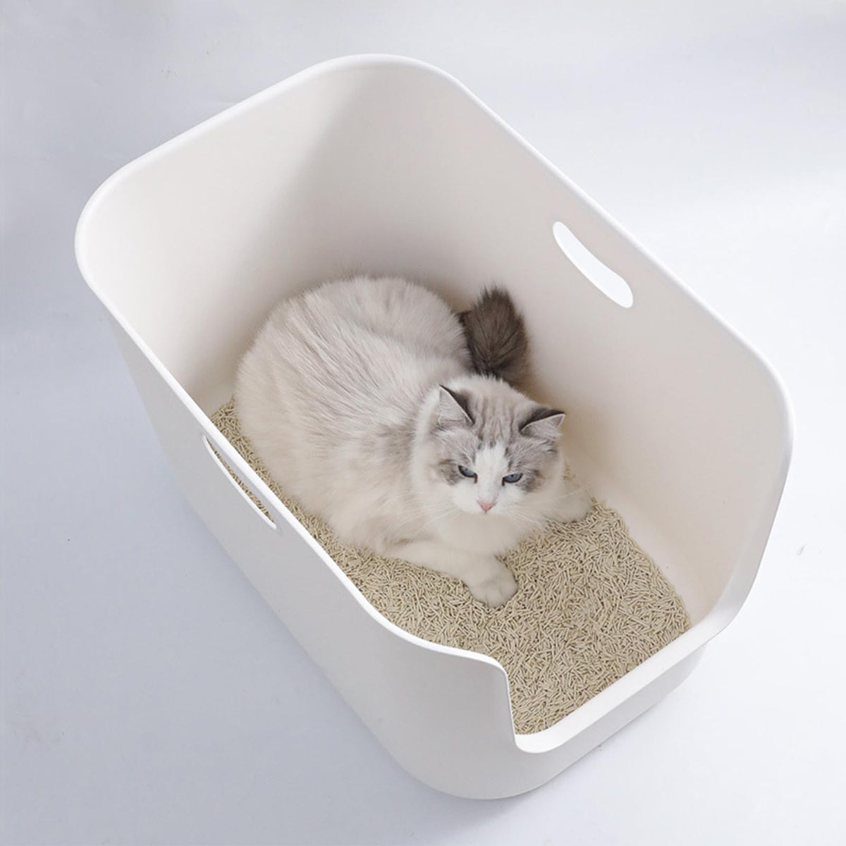 Extra Large High Sides Cat Litter Box B94860