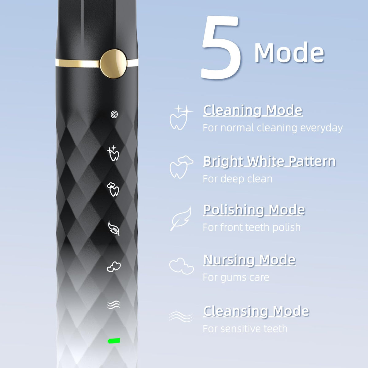 Black White Sonic Electric Toothbrush Set with 10 Brush Heads and Travel Case P5271