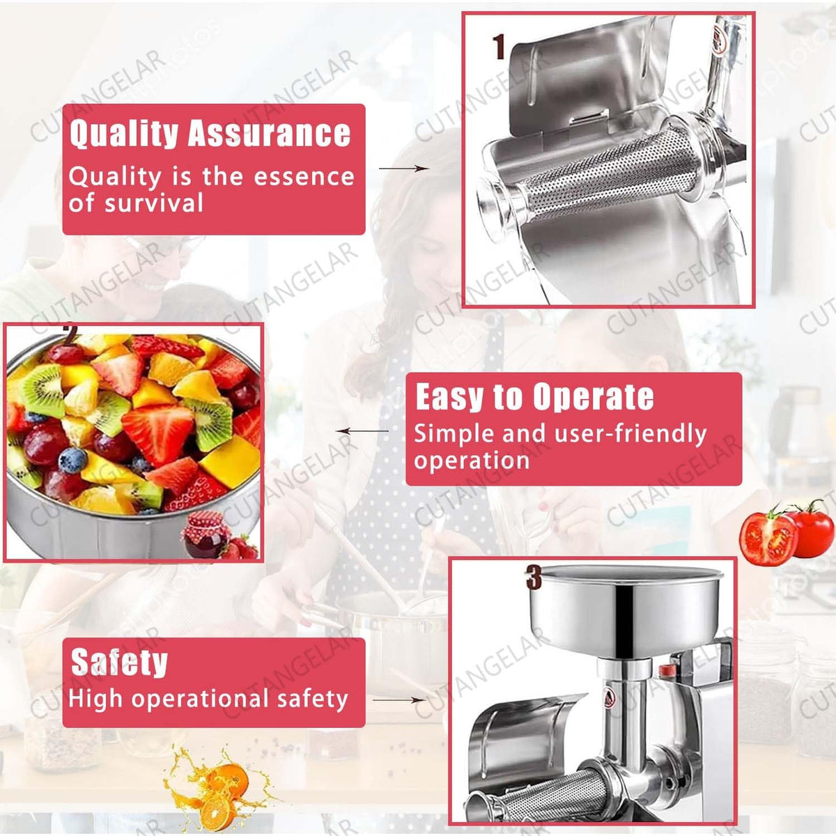 450W Stainless Steel Electric Juicer X760