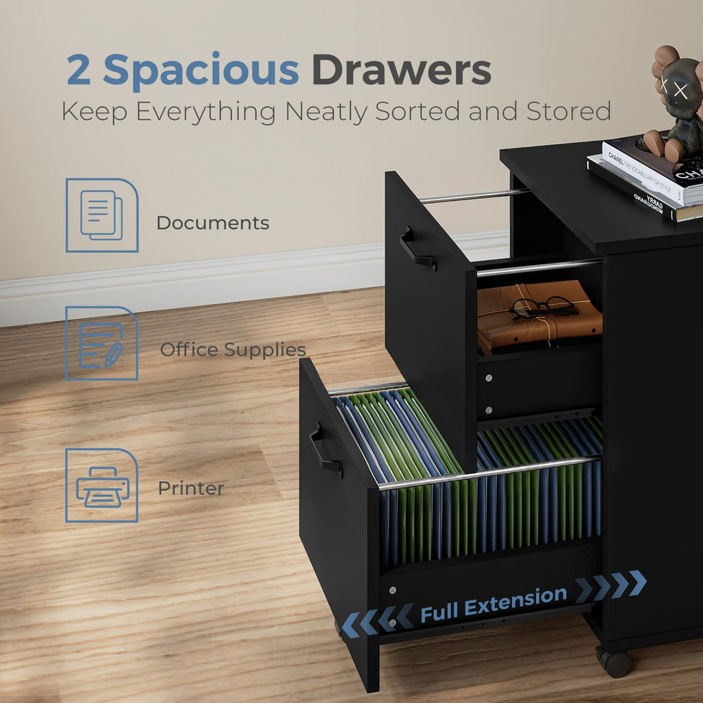 2 Drawer Black Wood File Cabinet N170054