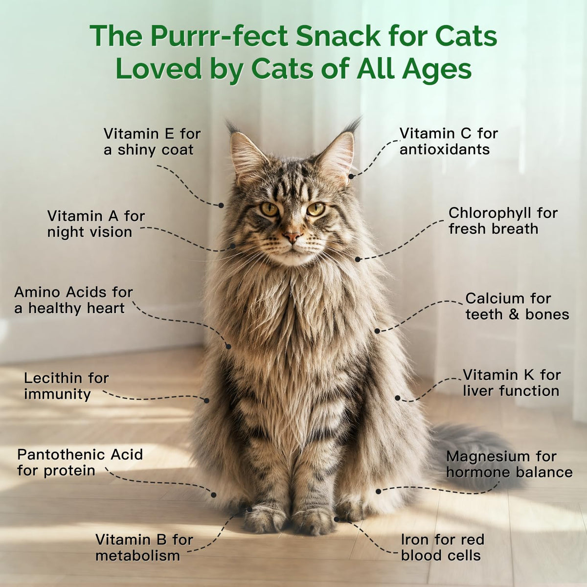 6 Cans Organic Wheat Cat Grass Growing Kit J463229