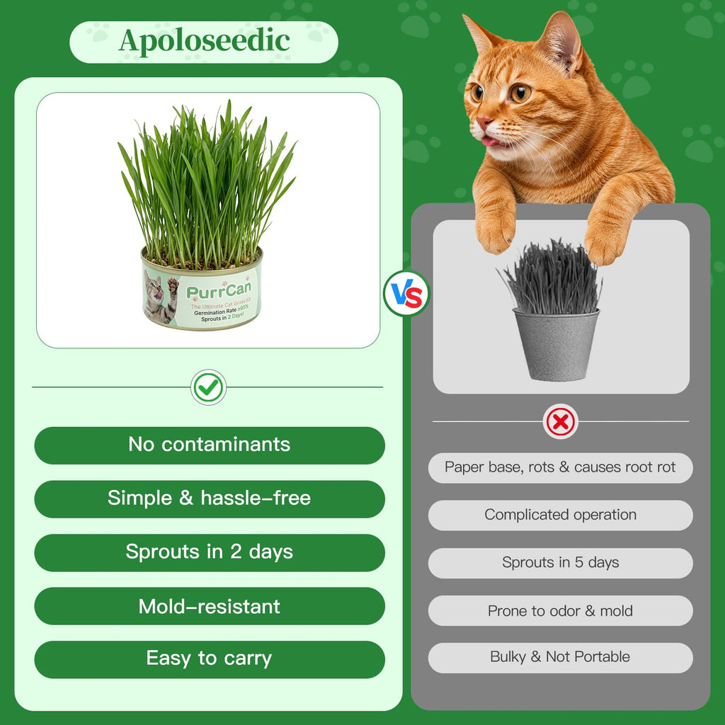 6 Cans Organic Wheat Cat Grass Growing Kit J463229
