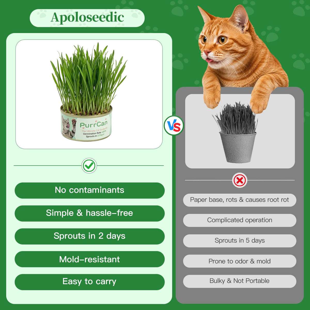 6 Cans Organic Wheat Cat Grass Growing Kit J463229
