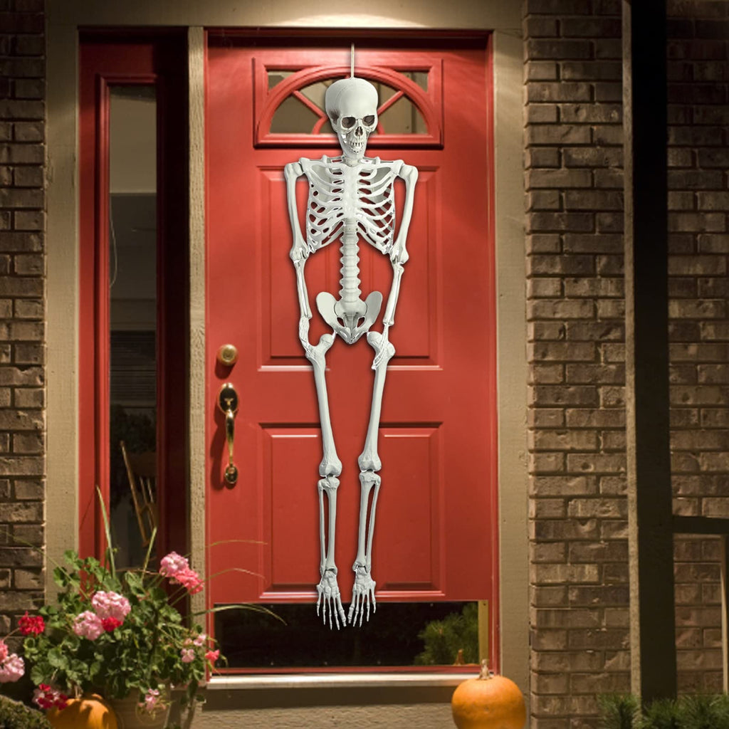 Life Size Poseable Skeleton Prop D2751