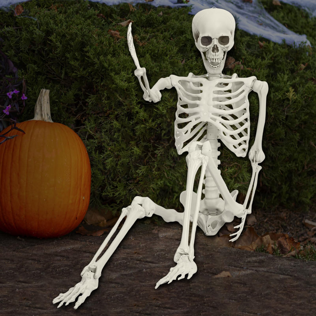 Life Size Poseable Skeleton Prop D2751