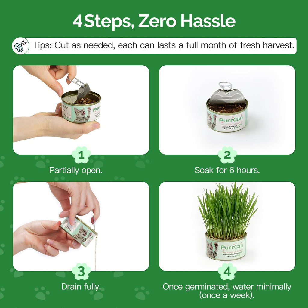 6 Cans Organic Wheat Cat Grass Growing Kit J463229