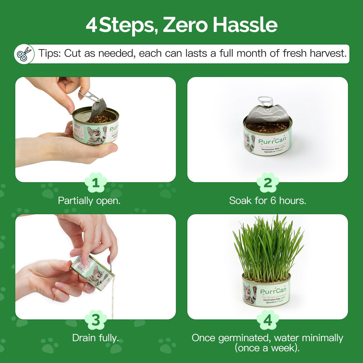 6 Cans Organic Wheat Cat Grass Growing Kit J463229