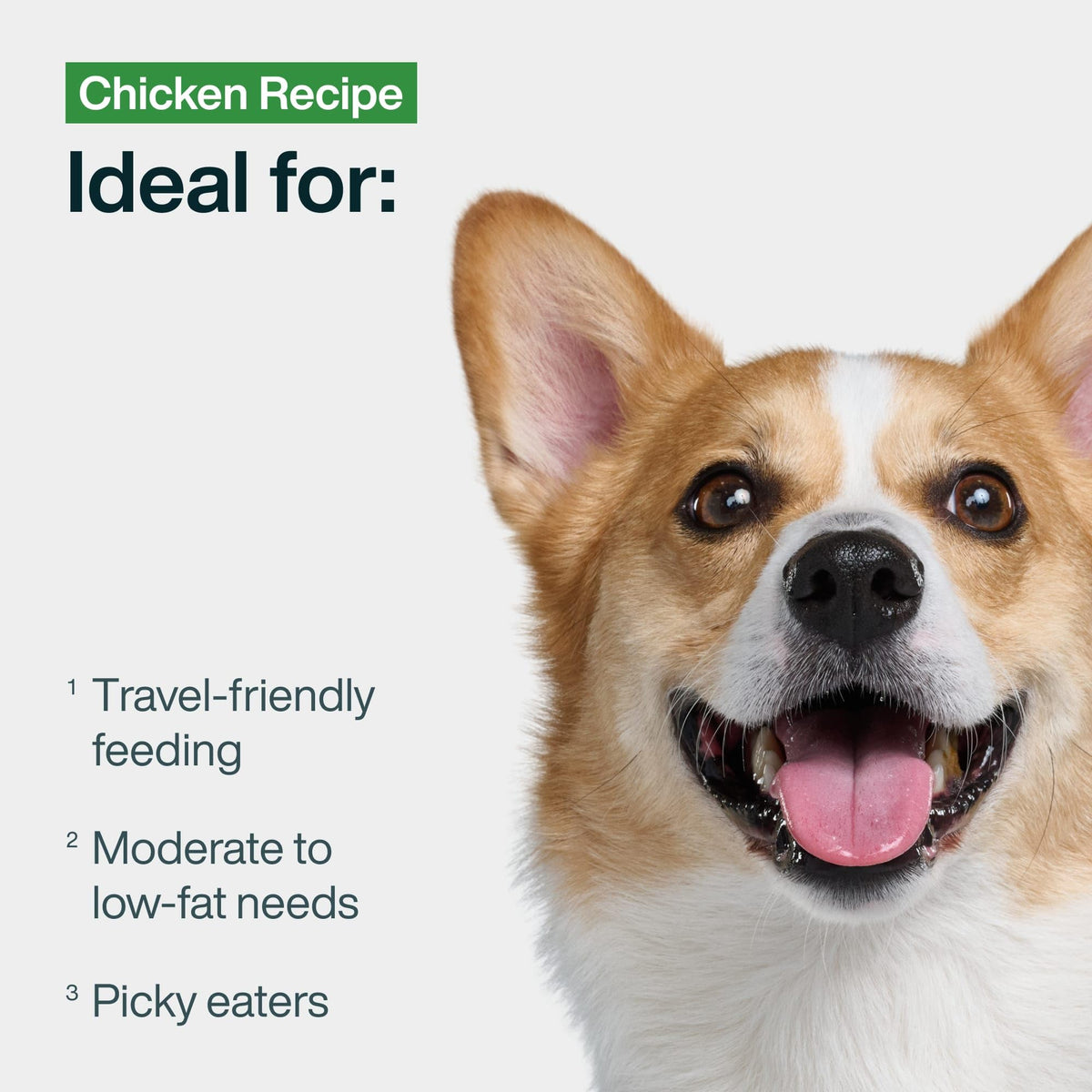 Chicken Wet Dog Food 7 Pack O399