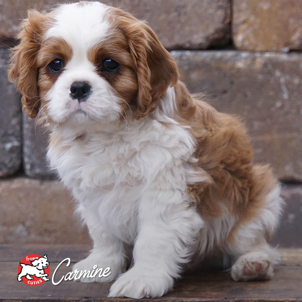 Dry Puppy Food Chicken Recipe 15 lb G3587