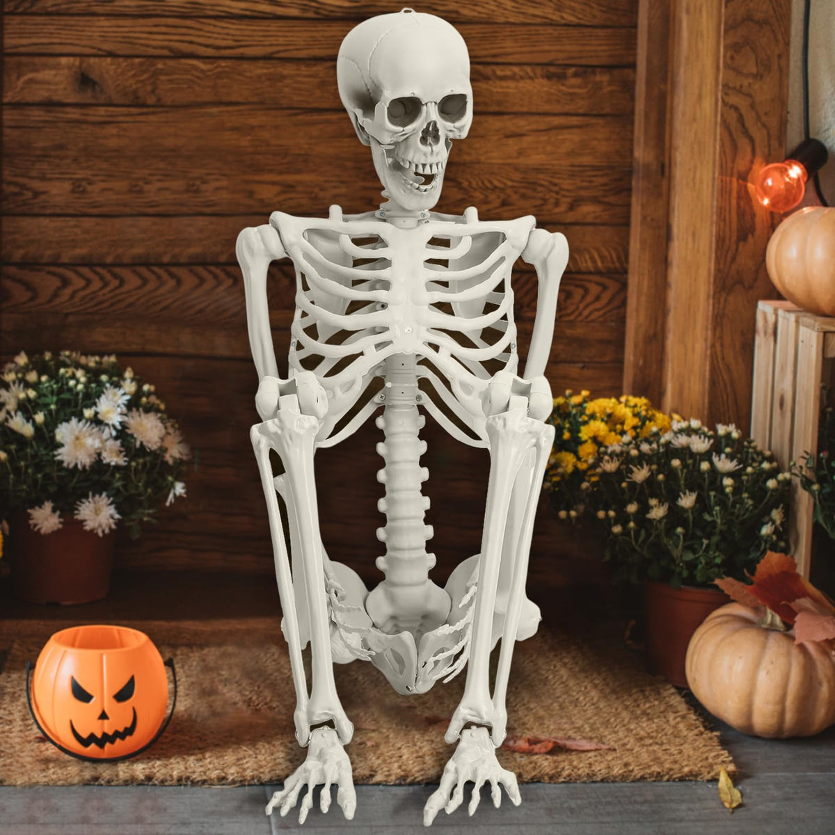 Life Size Poseable Skeleton Prop D2751