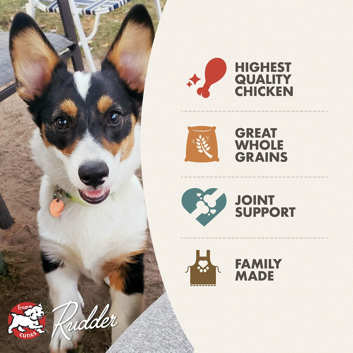 Dry Puppy Food Chicken Recipe 15 lb G3587