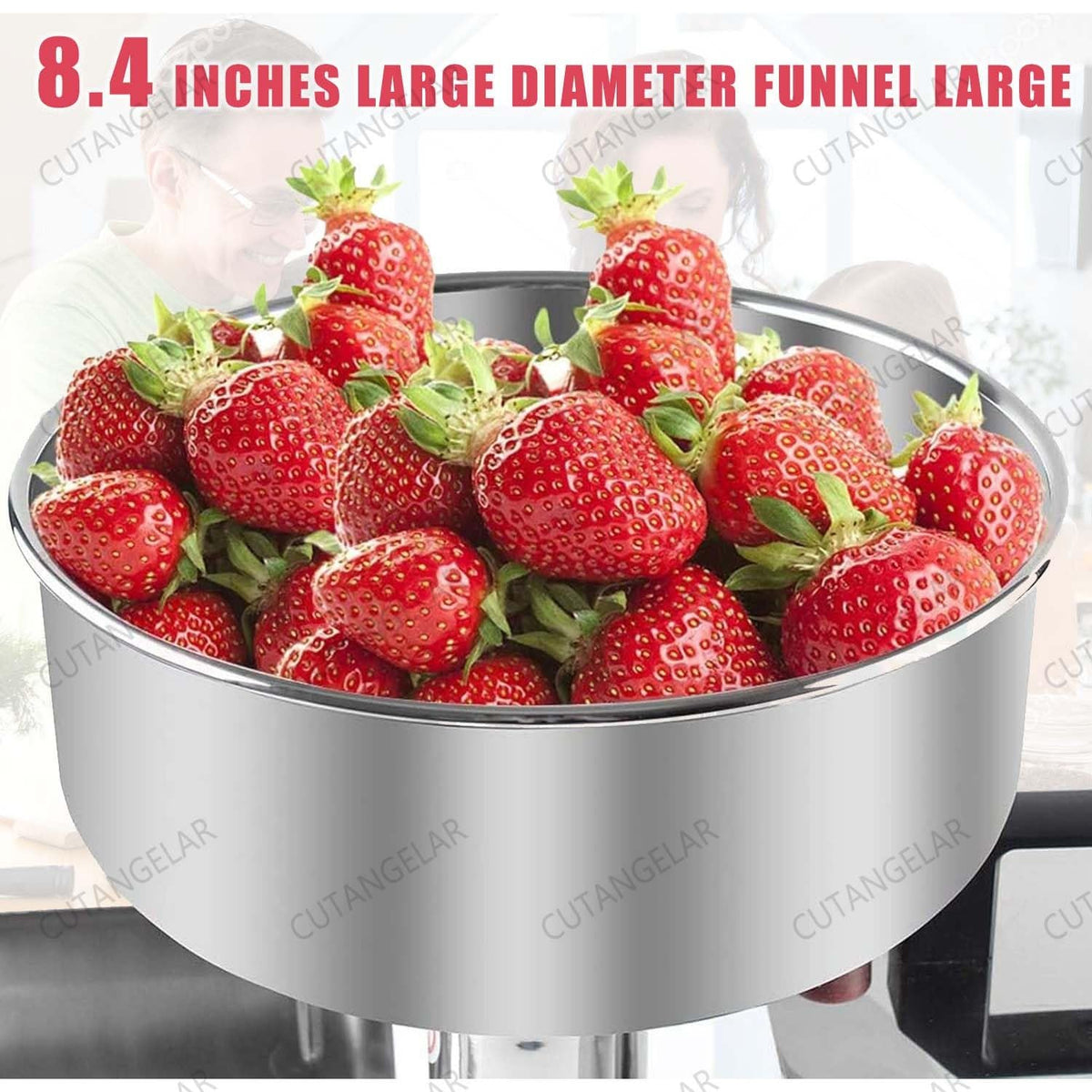 450W Stainless Steel Electric Juicer X760