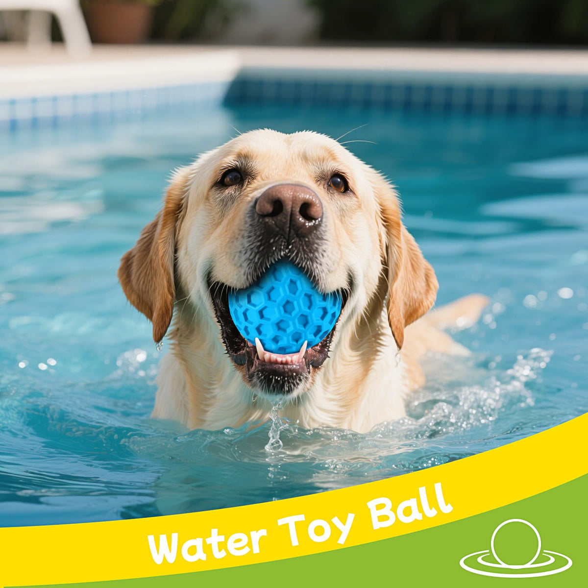 Rubber Dog Chew Toy for Large Medium Breeds B599