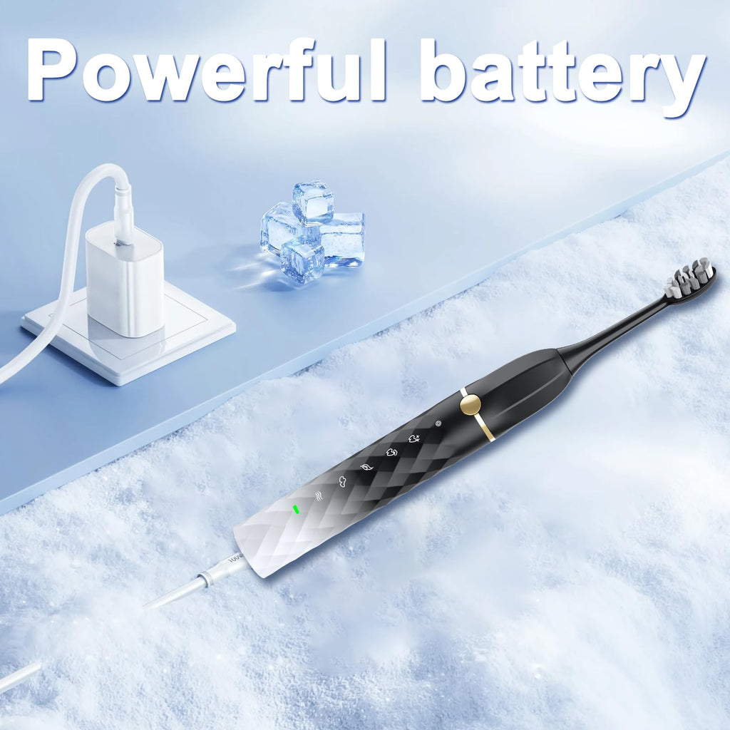 Black White Sonic Electric Toothbrush Set with 10 Brush Heads and Travel Case P5271