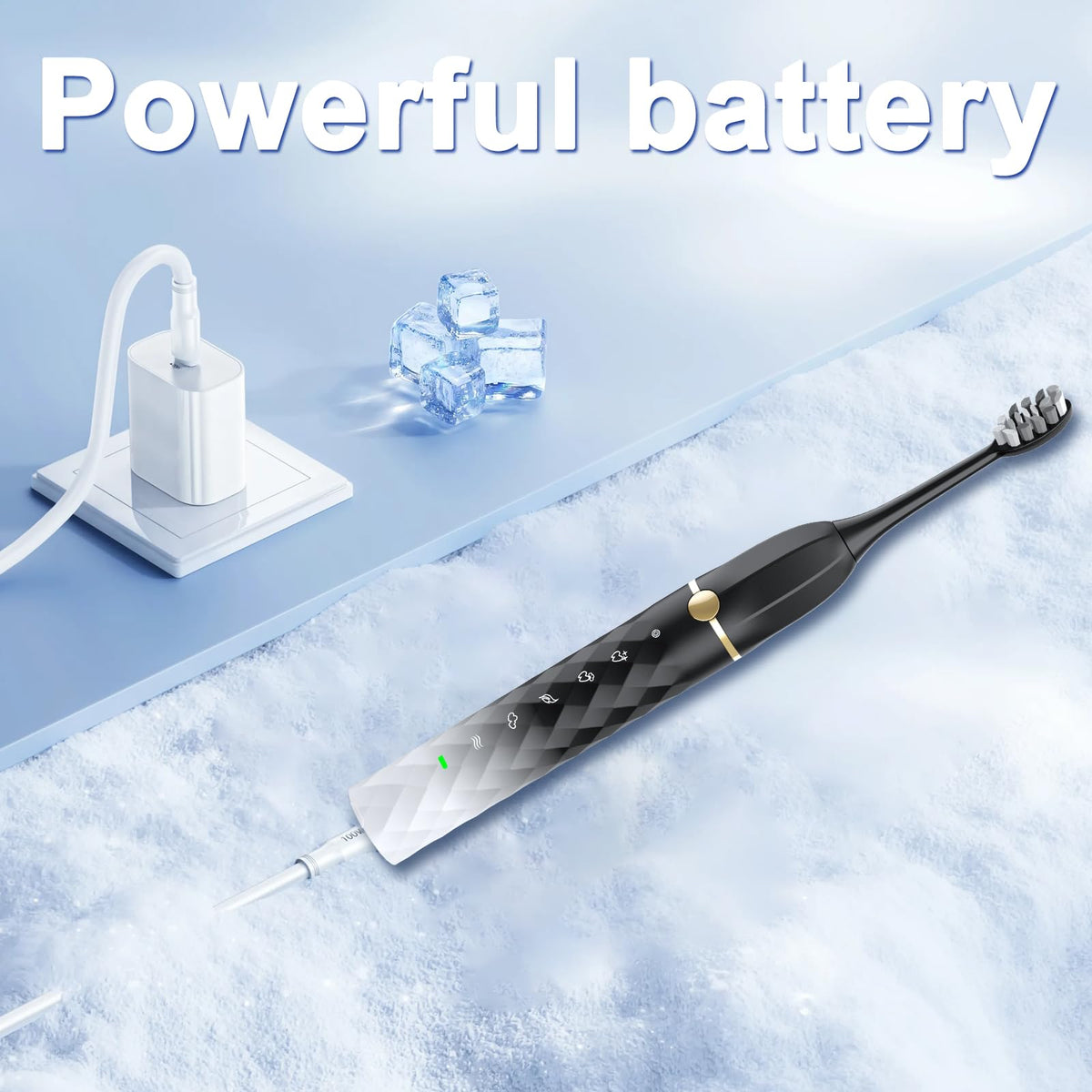 Black White Sonic Electric Toothbrush Set with 10 Brush Heads and Travel Case P5271