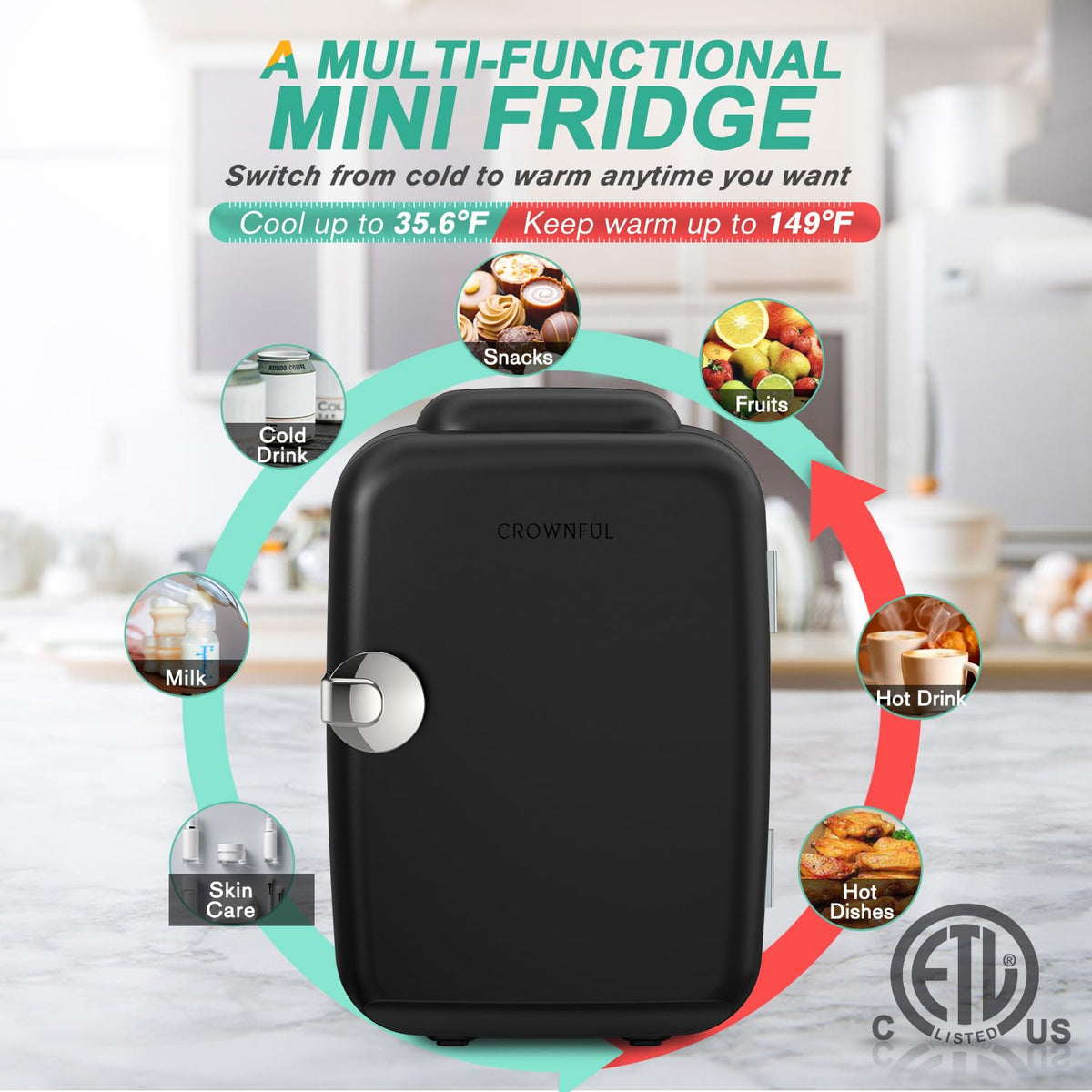 4 Liter 6 Can Portable Cooler and Warmer Mini Fridge J5248