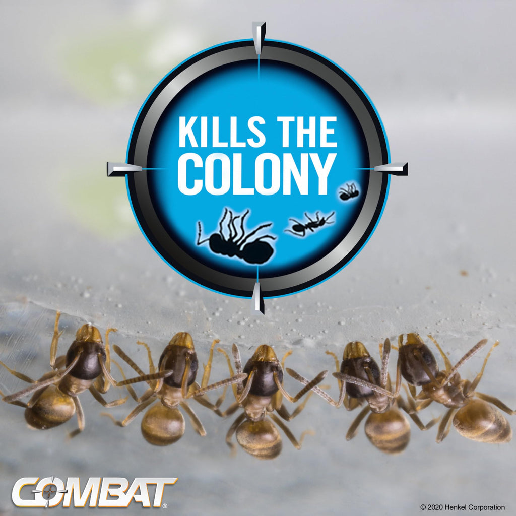 Combat Ant Killing Gel, 27 Gram P7738
