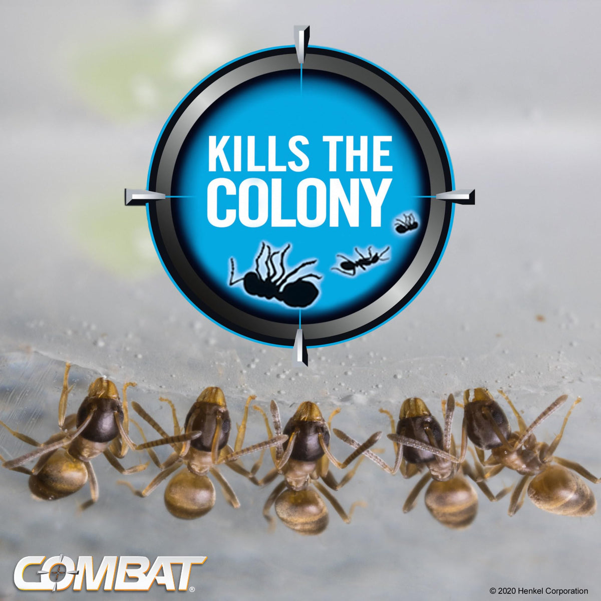 Combat Ant Killing Gel, 27 Gram P7738