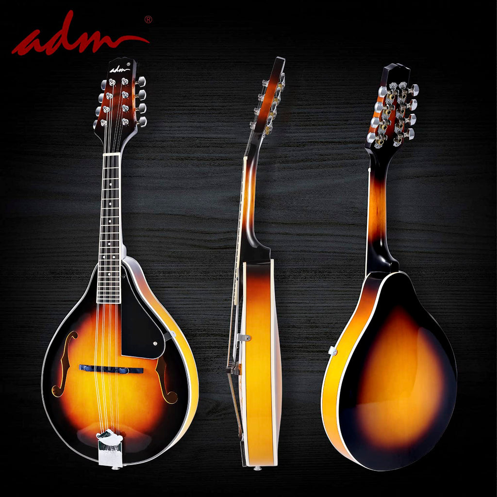 Wood A Style Mandolin Instrument Kit with Bag V6885