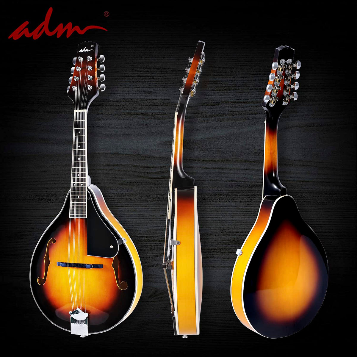 Wood A Style Mandolin Instrument Kit with Bag V6885