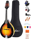 Wood A Style Mandolin Instrument Kit with Bag V6885
