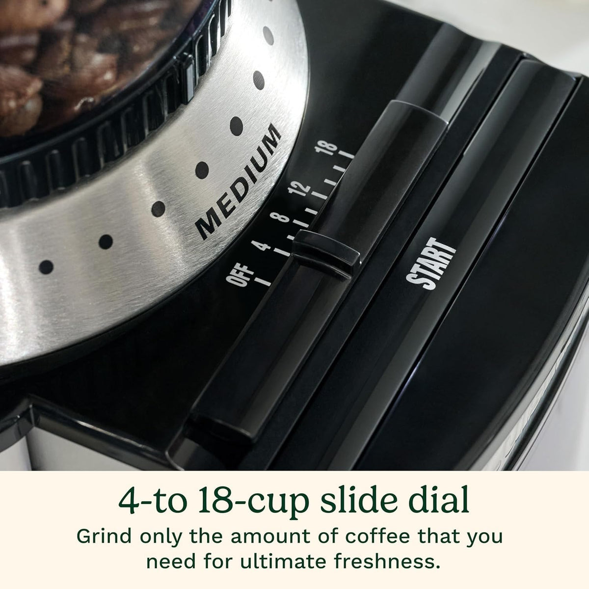 Electric Burr Coffee Grinder with 18-Position Grind Selector I8344