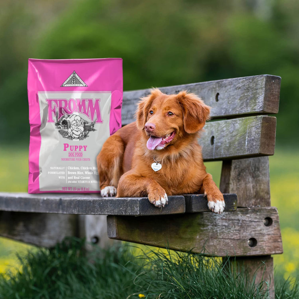 Dry Puppy Food Chicken Recipe 15 lb G3587