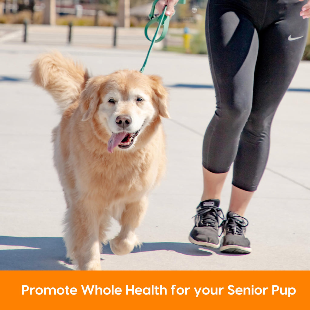 Senior Dogs Soft Chews 90 ct U70369