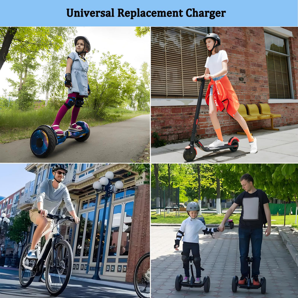 42V 2A Electric Scooter Charger with 4 Plugs C3687