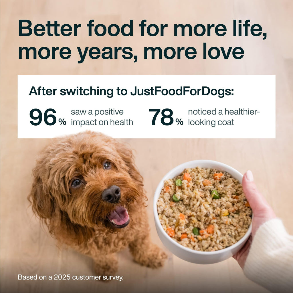 Chicken Wet Dog Food 7 Pack O399