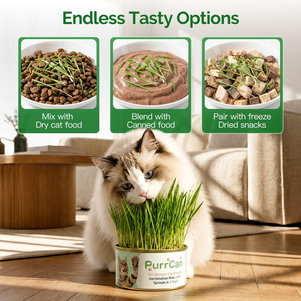 6 Cans Organic Wheat Cat Grass Growing Kit J463229