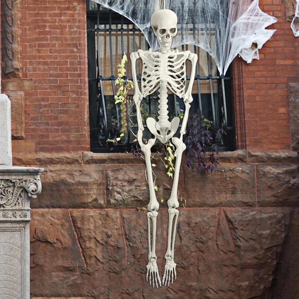 Life Size Poseable Skeleton Prop D2751