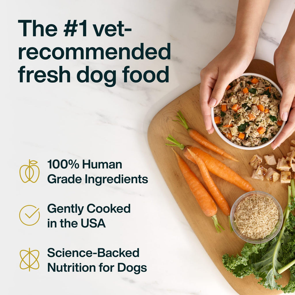 Chicken Wet Dog Food 7 Pack O399