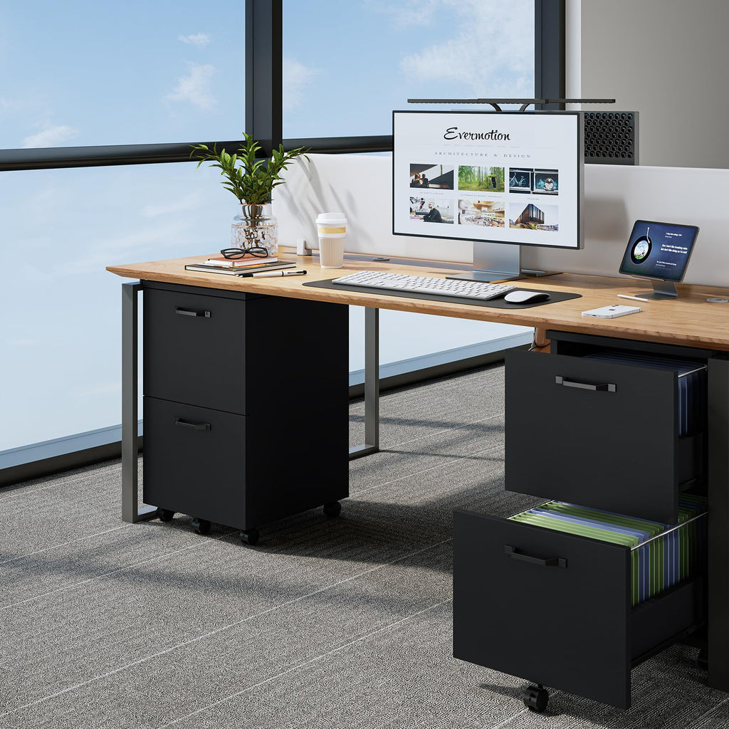 2 Drawer Black Wood File Cabinet N170054