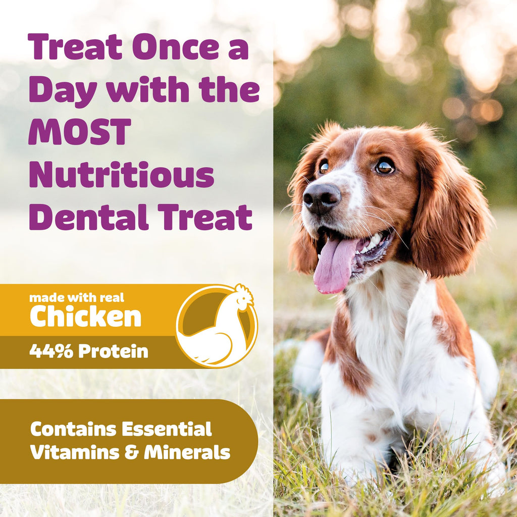 Chicken Dental Dog Treats 36oz 27 Count V75926
