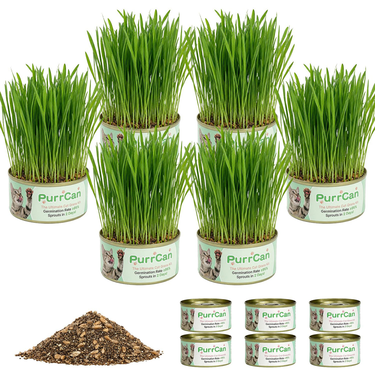 6 Cans Organic Wheat Cat Grass Growing Kit J463229