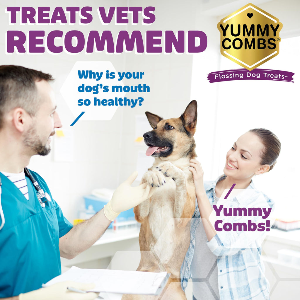 Chicken Dental Dog Treats 36oz 27 Count V75926