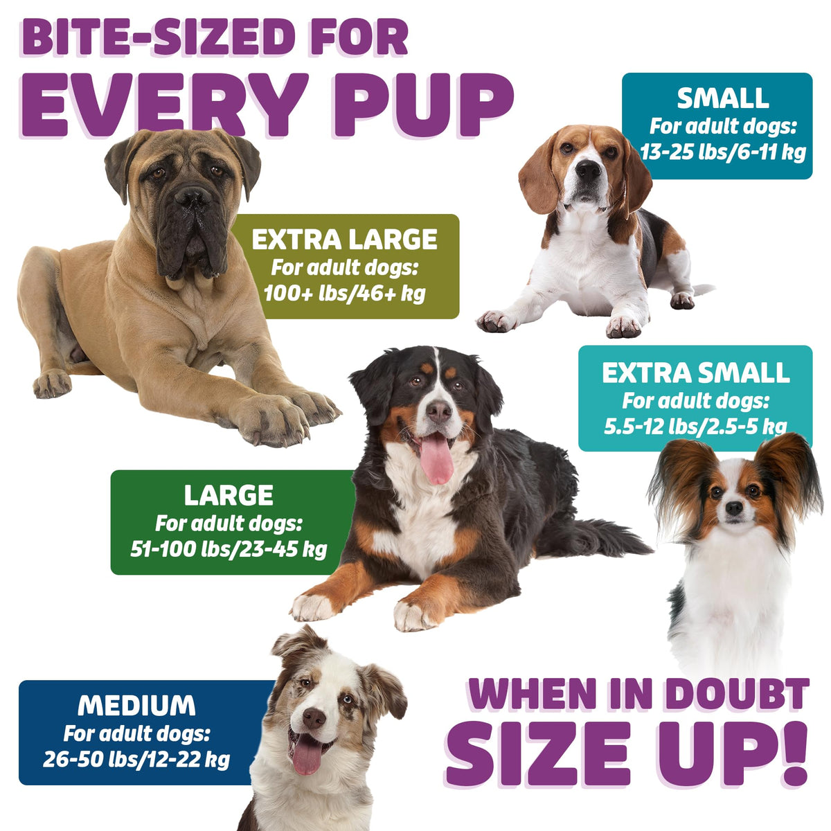 Chicken Dental Dog Treats 36oz 27 Count V75926