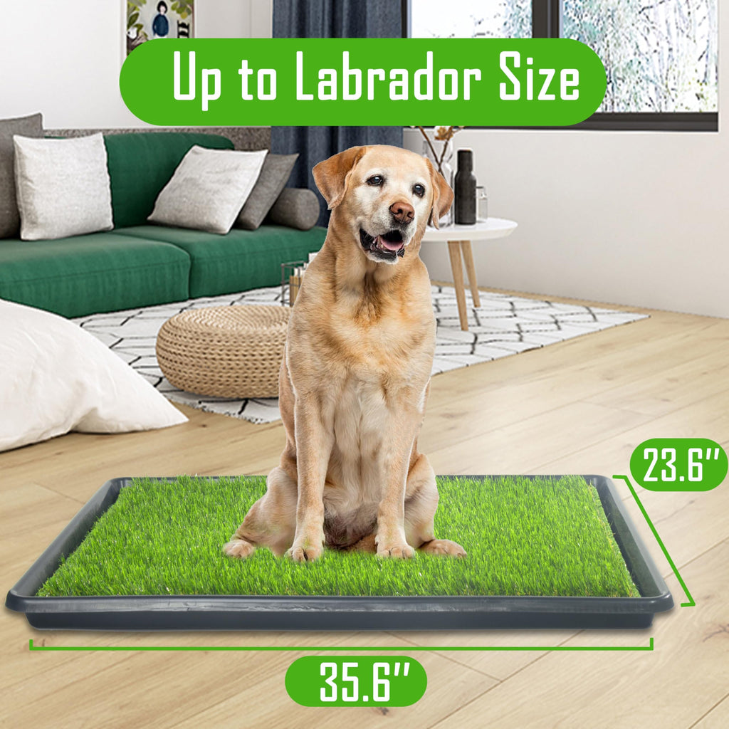 Reusable Dog Loo System with Artificial Grass Turf, Tray, 35x23in X39612
