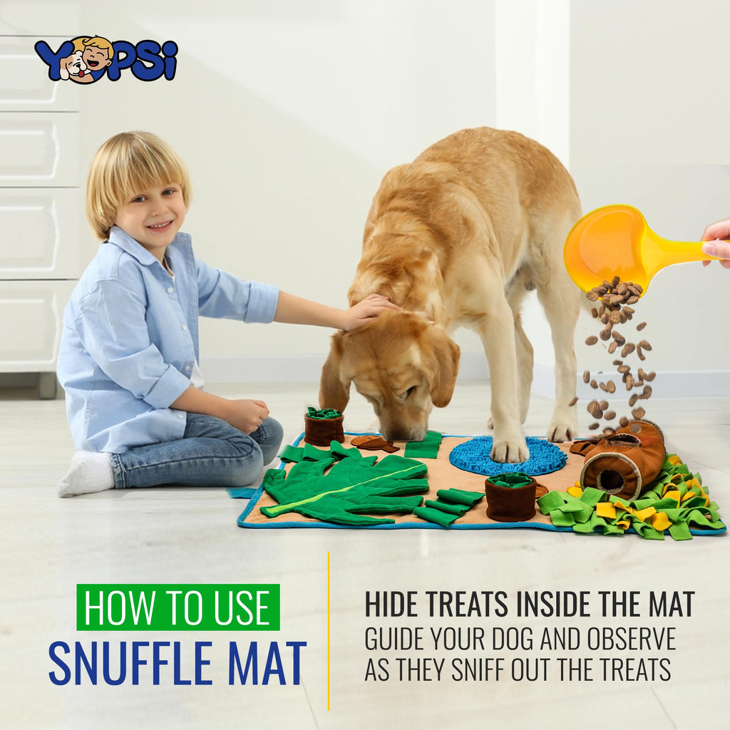 Large Breed Snuffle Mat F662848