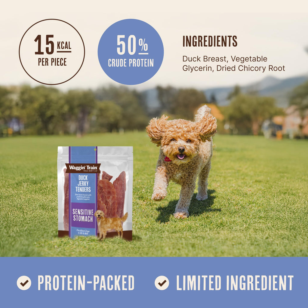 Duck Jerky Dog Treats 12 oz V57308