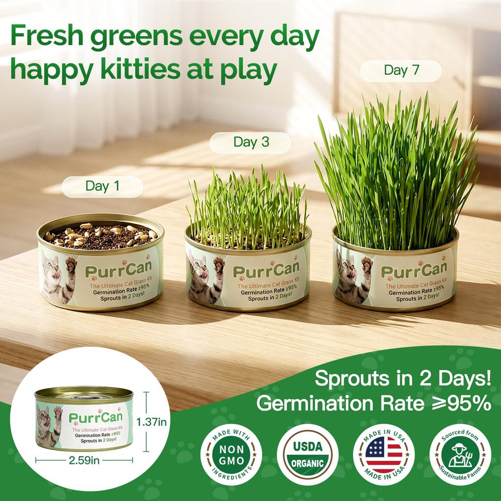 6 Cans Organic Wheat Cat Grass Growing Kit J463229